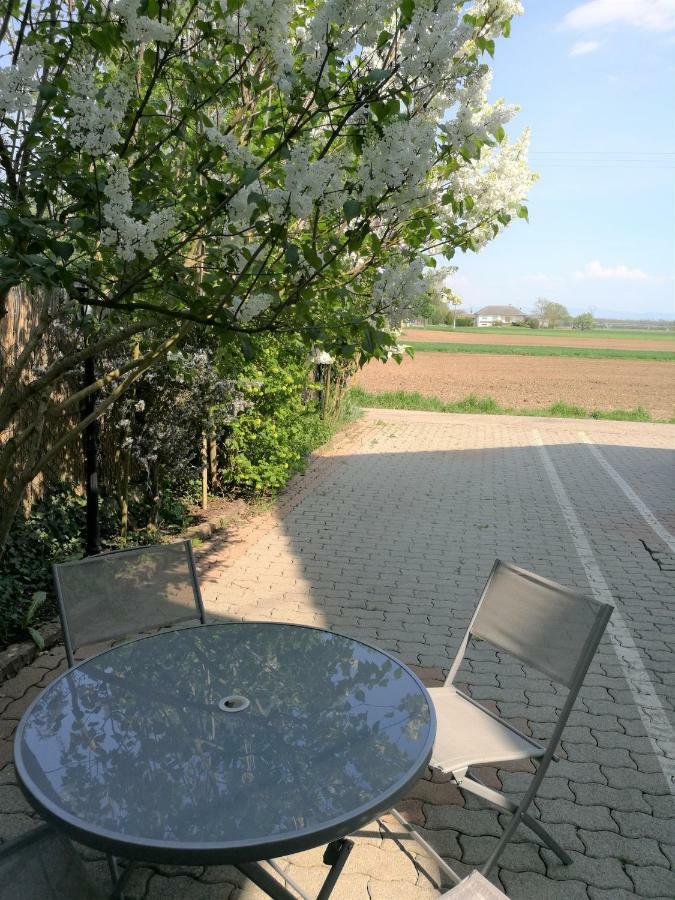 Le Cocon Appart Avec Parking Prive & Terrasse Sainte-Croix-en-Plaine Eksteriør bilde